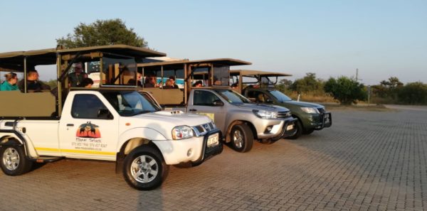 Safari vehicles parked at dusk under an orange sky